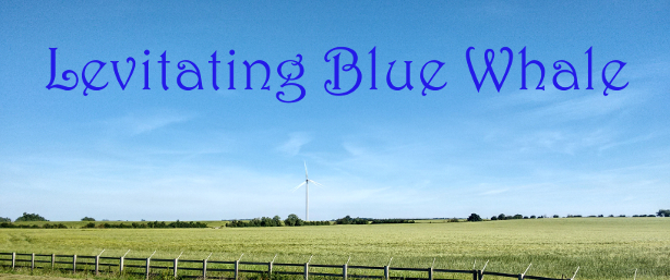 Levitating Blue Whale