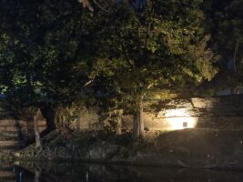 Shelter In A Sleeping Cave Cover