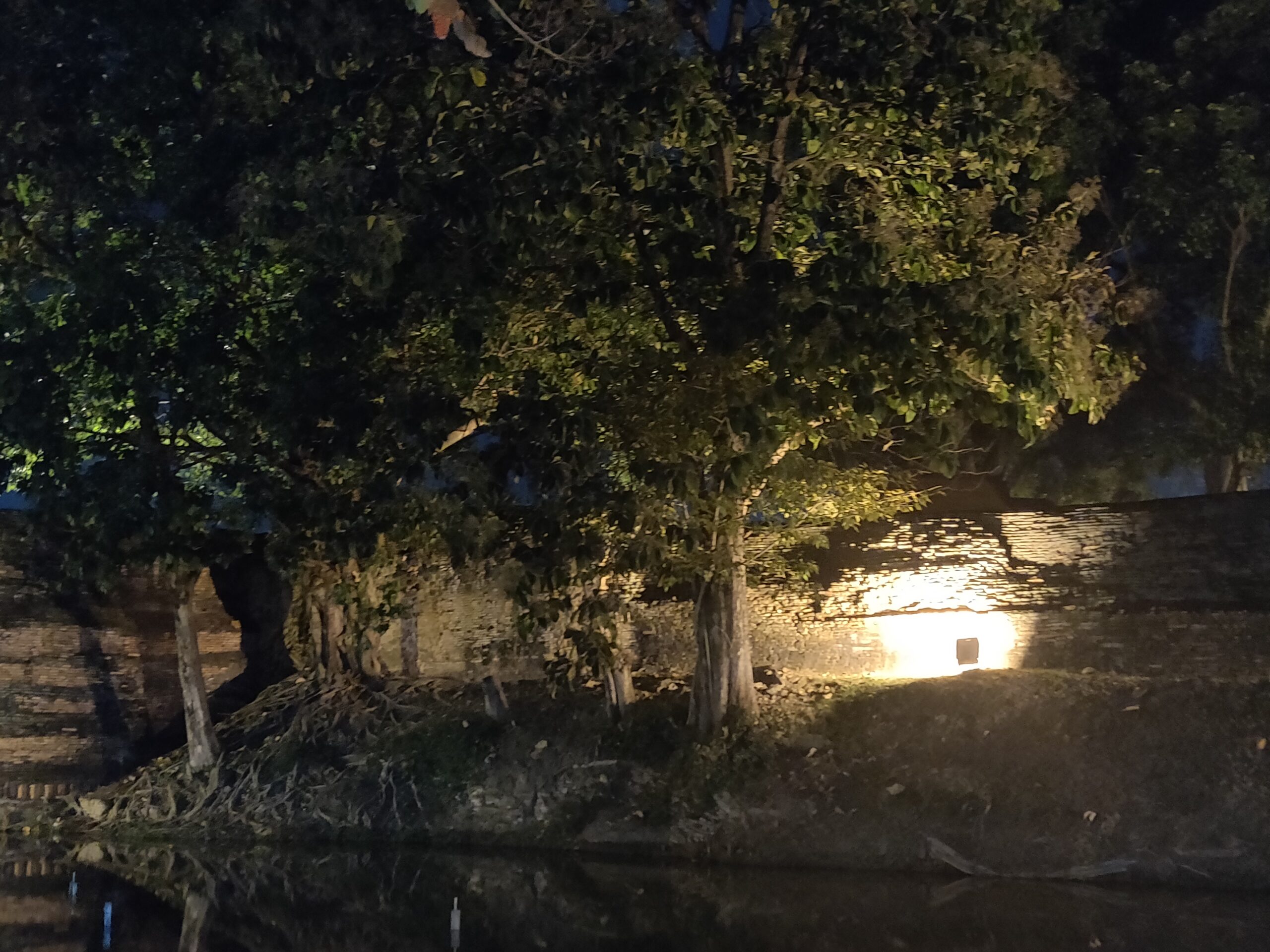 Cover of Shelter In A Sleeping Cave
